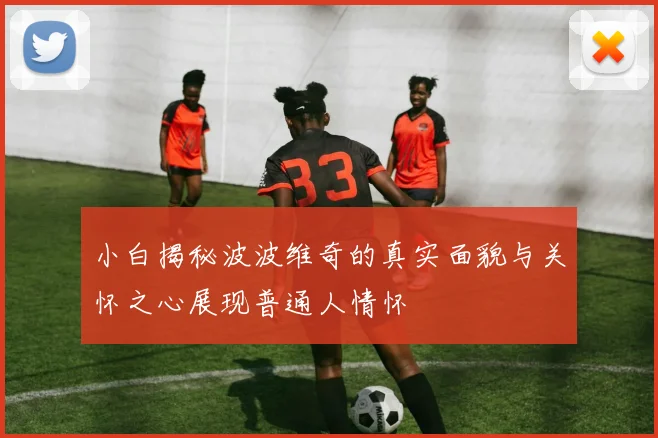 小白揭秘波波维奇的真实面貌与关怀之心展现普通人情怀