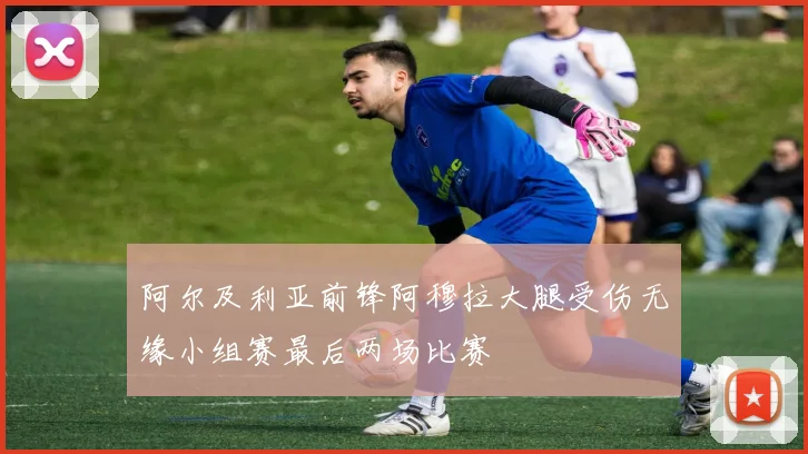 阿尔及利亚前锋阿穆拉大腿受伤无缘小组赛最后两场比赛